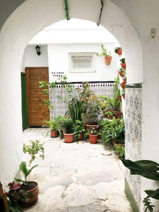 Апартаменты Casa Perla Blanca - A Hidden Gem In The Old Town Тарифа Экстерьер фото